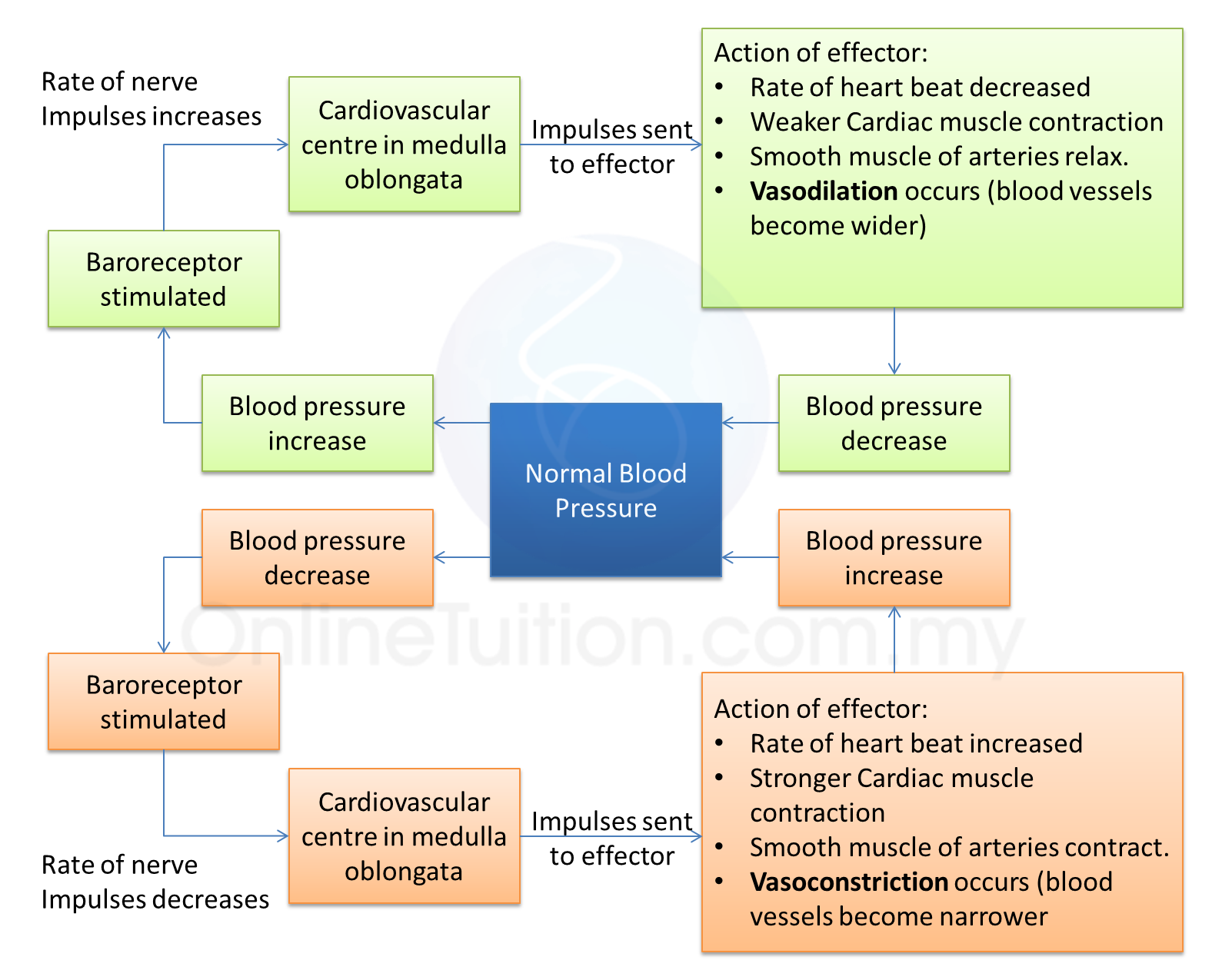 recommended blood pressure