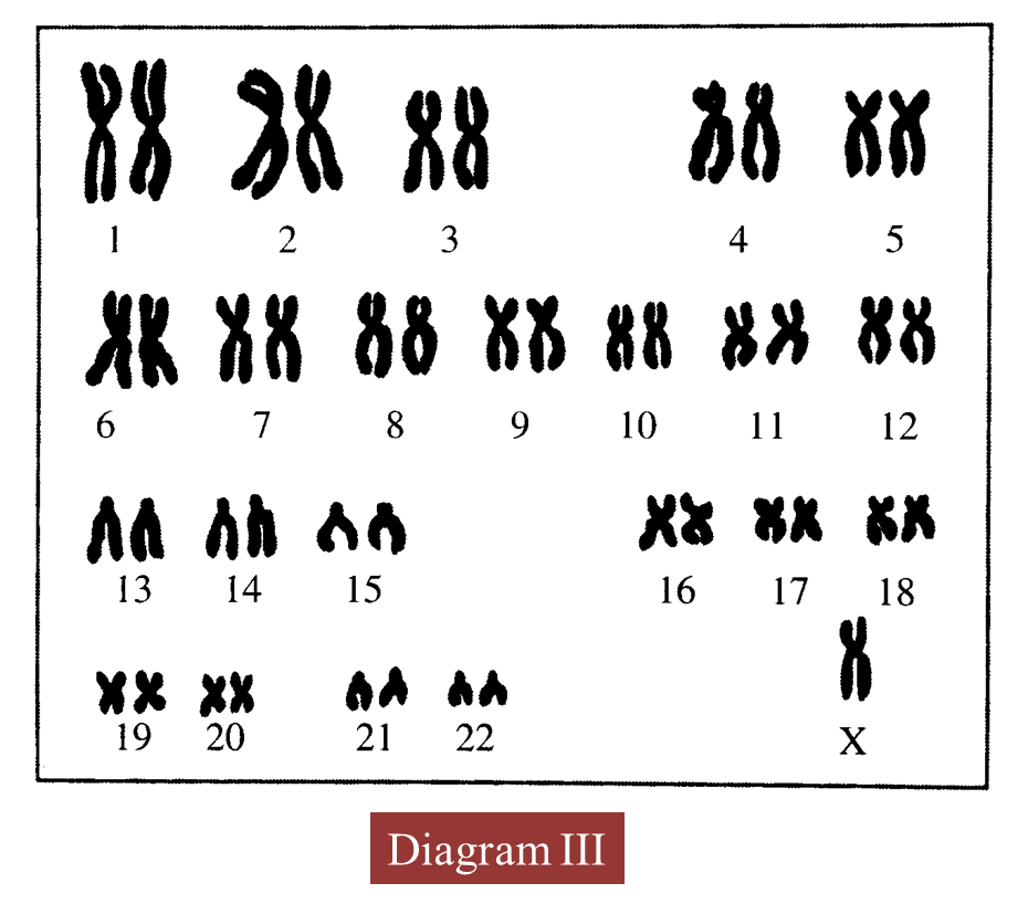 Cell Division Users Blog 