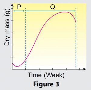 Form 5 biology textbook