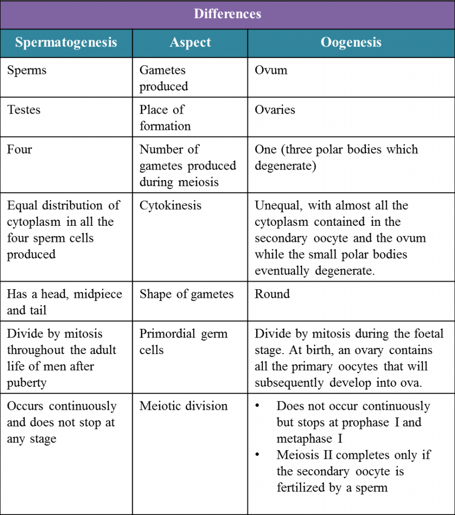 4.9.1 Gamete Formation (Structured Question 1 & 2) - SPM Biology